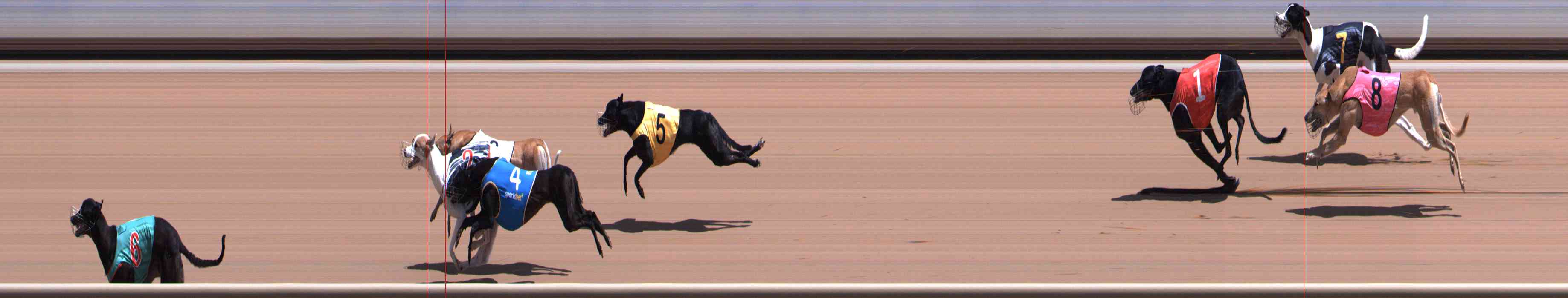 Photo finish for Healesville Race 7