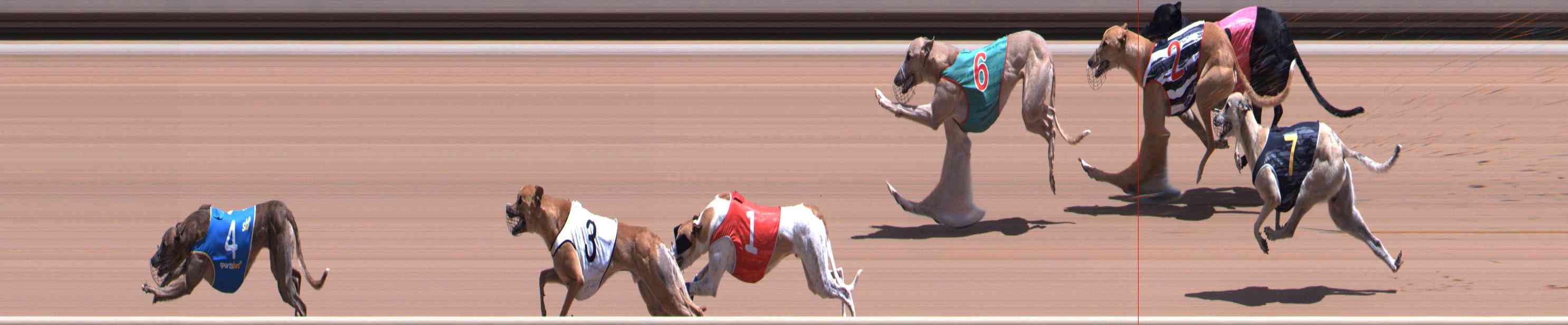 Photo finish for Healesville Race 8