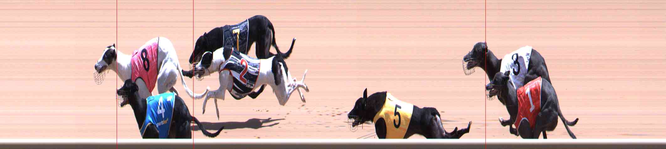 Photo finish for Healesville Race 10