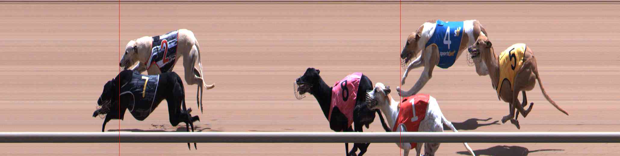 Photo finish for Healesville Race 11