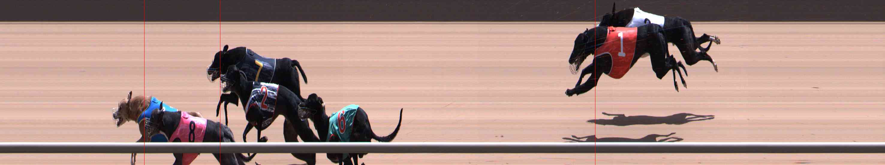 Photo finish for Healesville Race 12