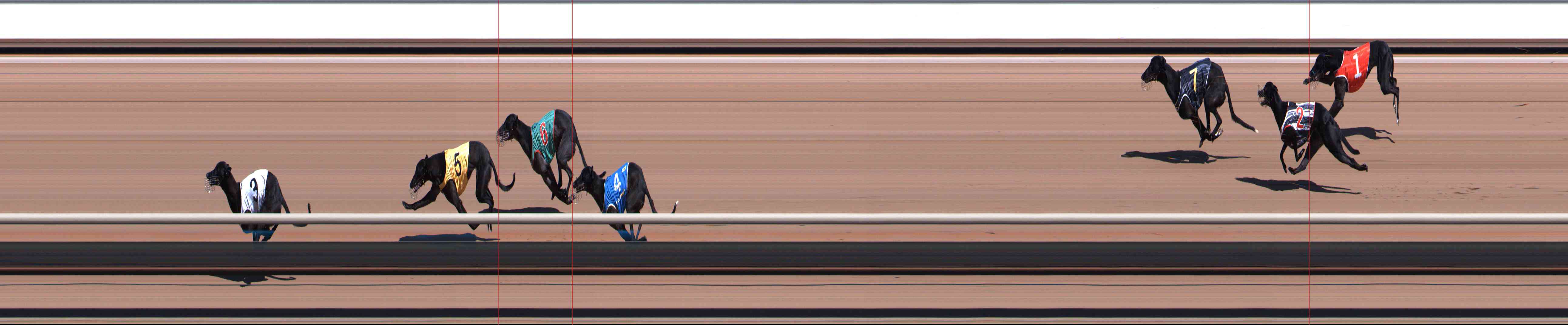 Photo finish for Healesville Race 1