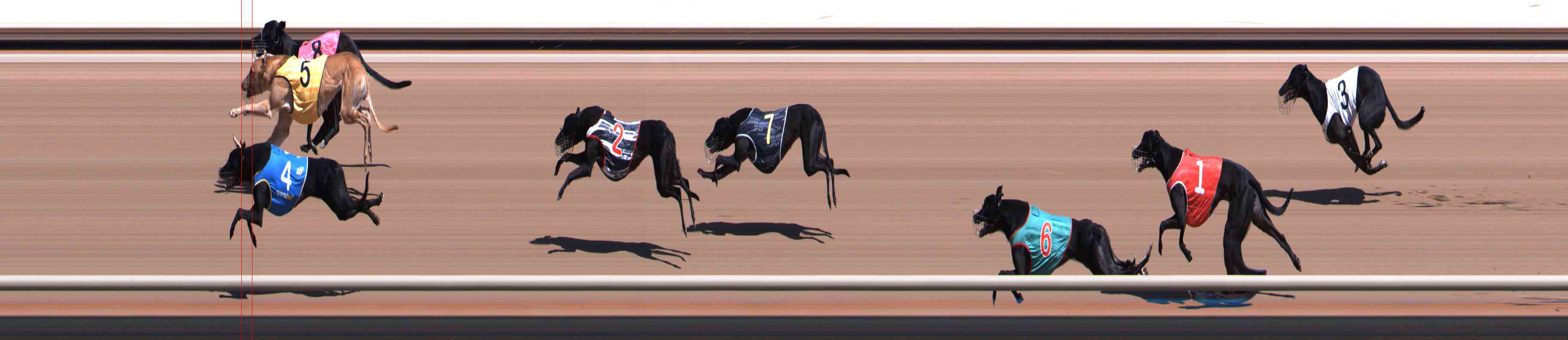 Photo finish for Healesville Race 2