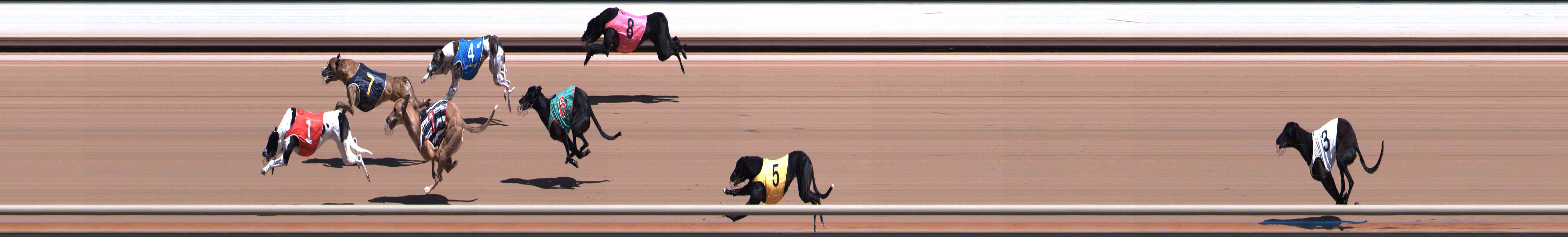 Photo finish for Healesville Race 3
