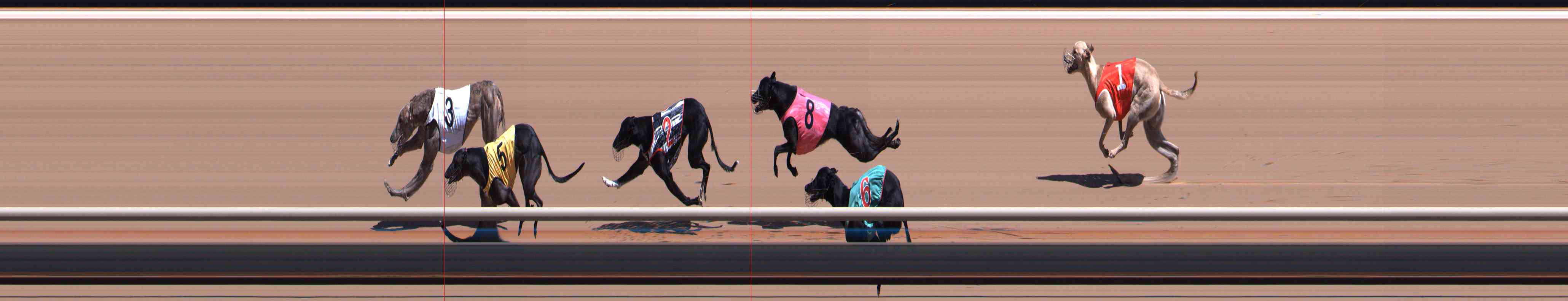Photo finish for Healesville Race 4