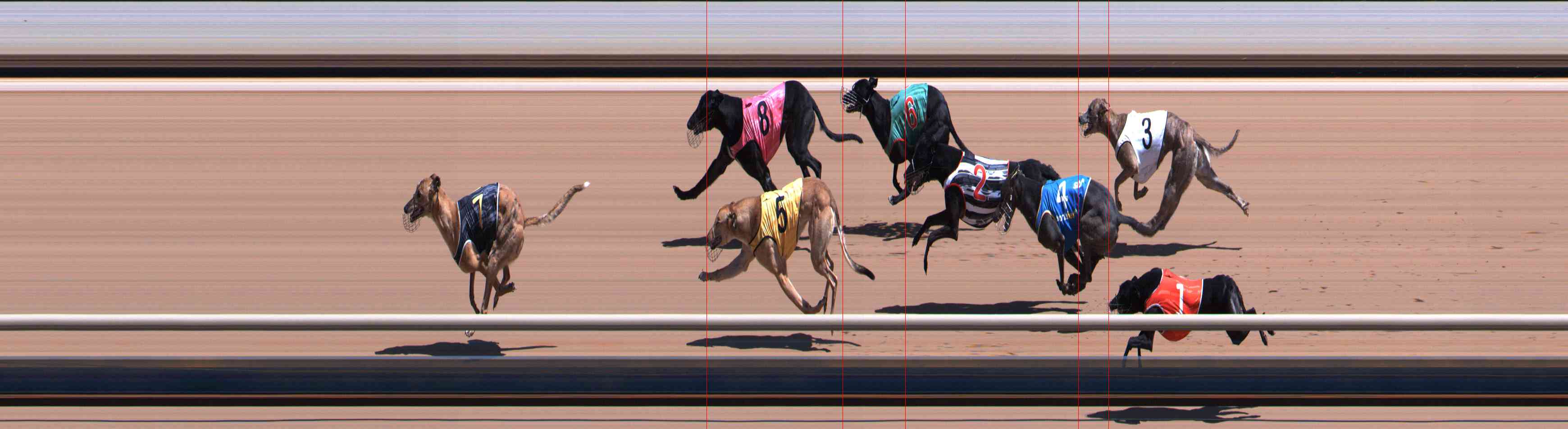 Photo finish for Healesville Race 5