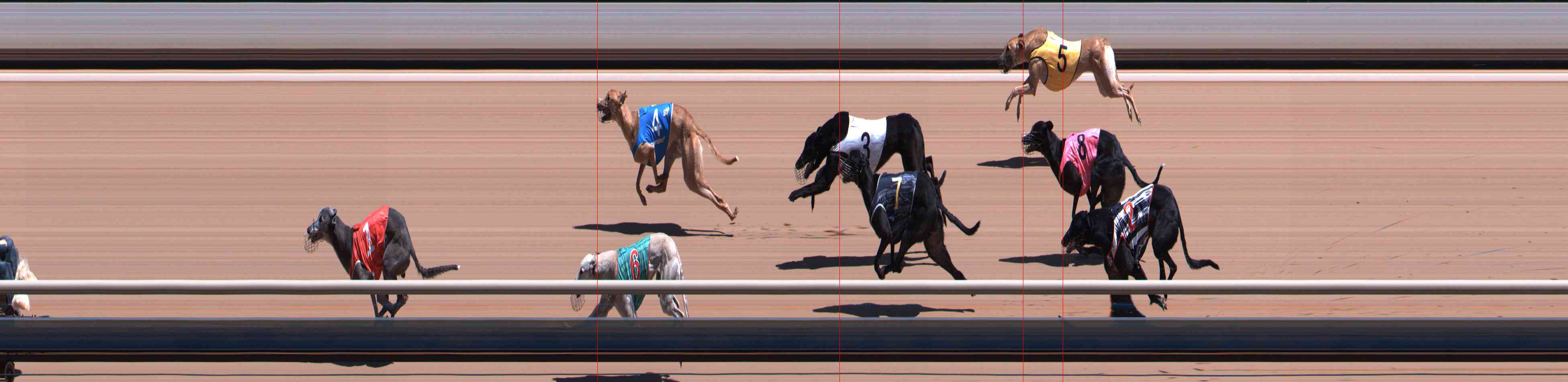 Photo finish for Healesville Race 6