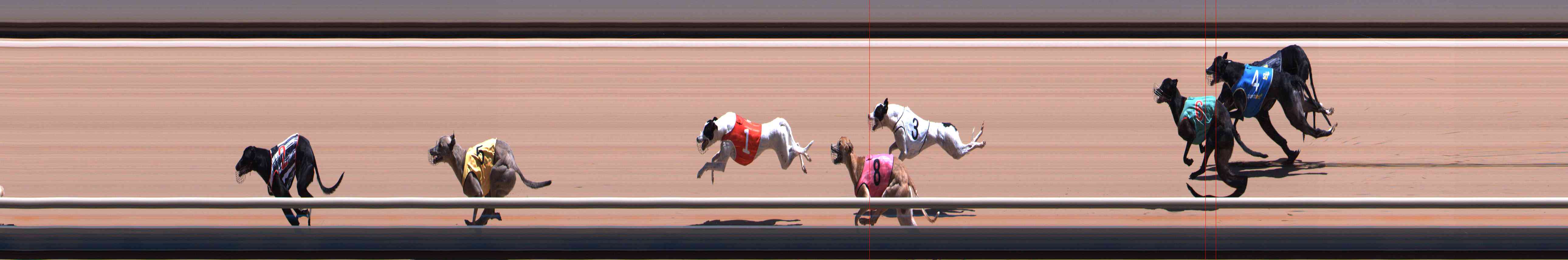 Photo finish for Healesville Race 7