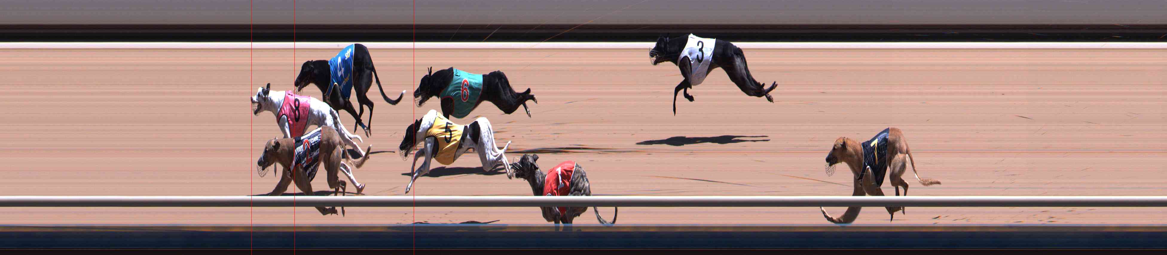 Photo finish for Healesville Race 8