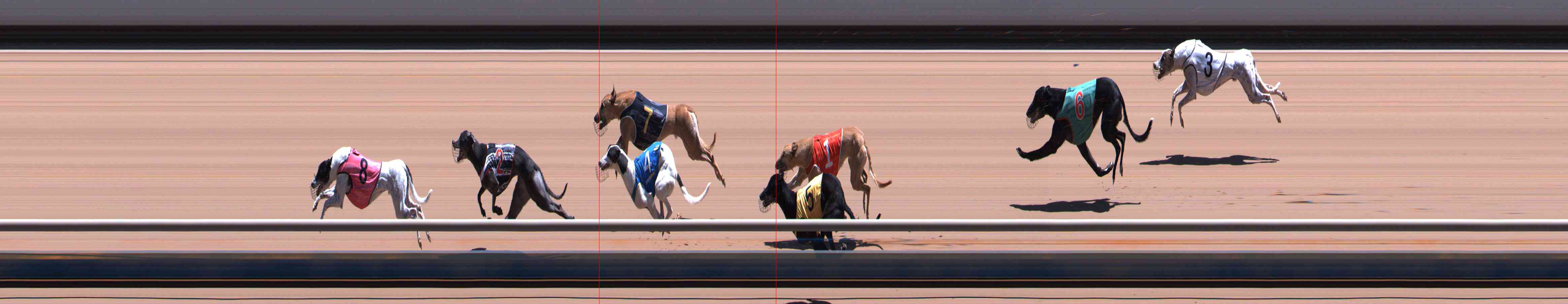 Photo finish for Healesville Race 9