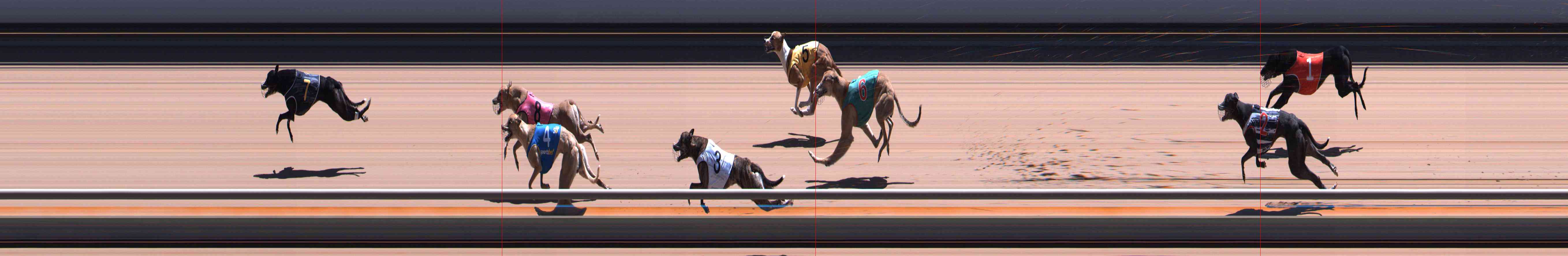 Photo finish for Healesville Race 11