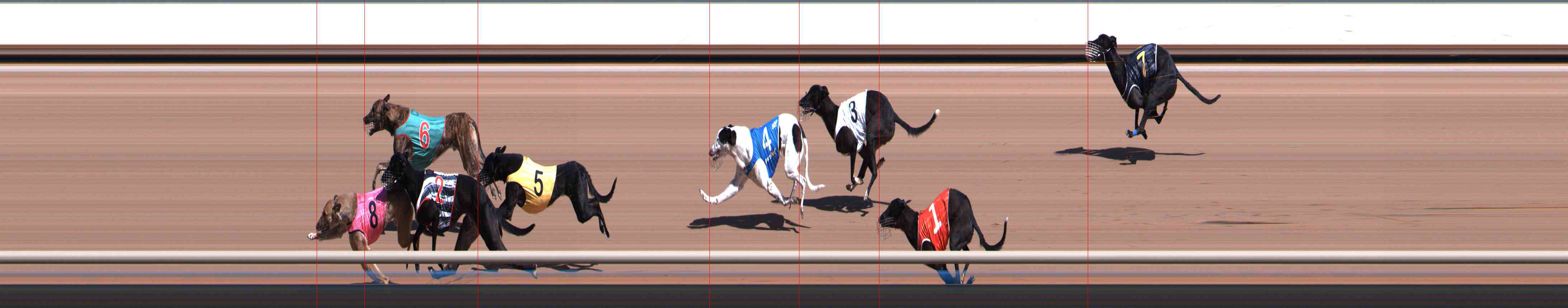 Photo finish for Healesville Race 1