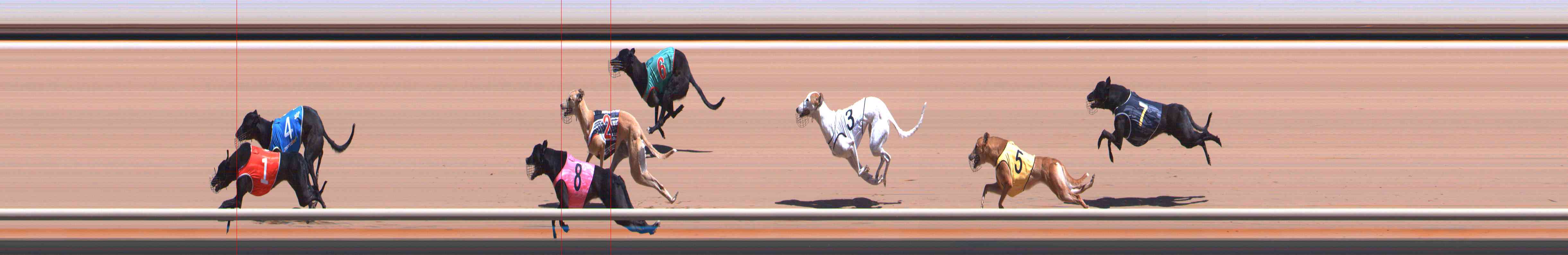 Photo finish for Healesville Race 2