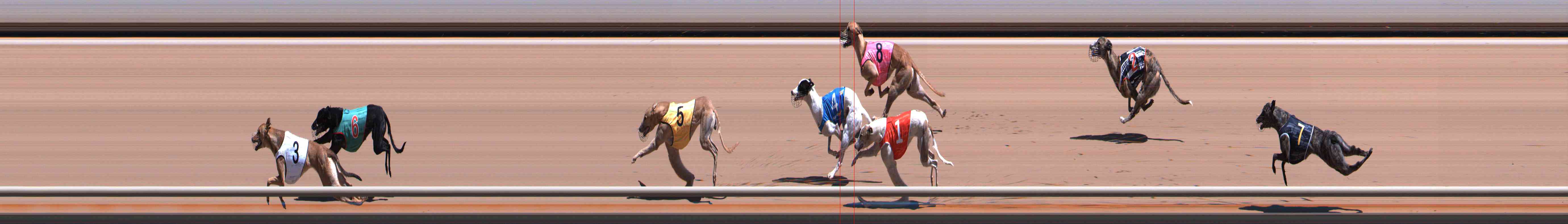Photo finish for Healesville Race 3