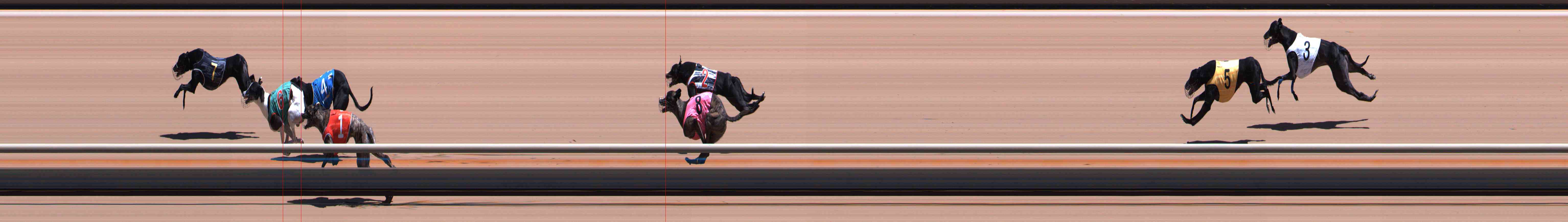 Photo finish for Healesville Race 4