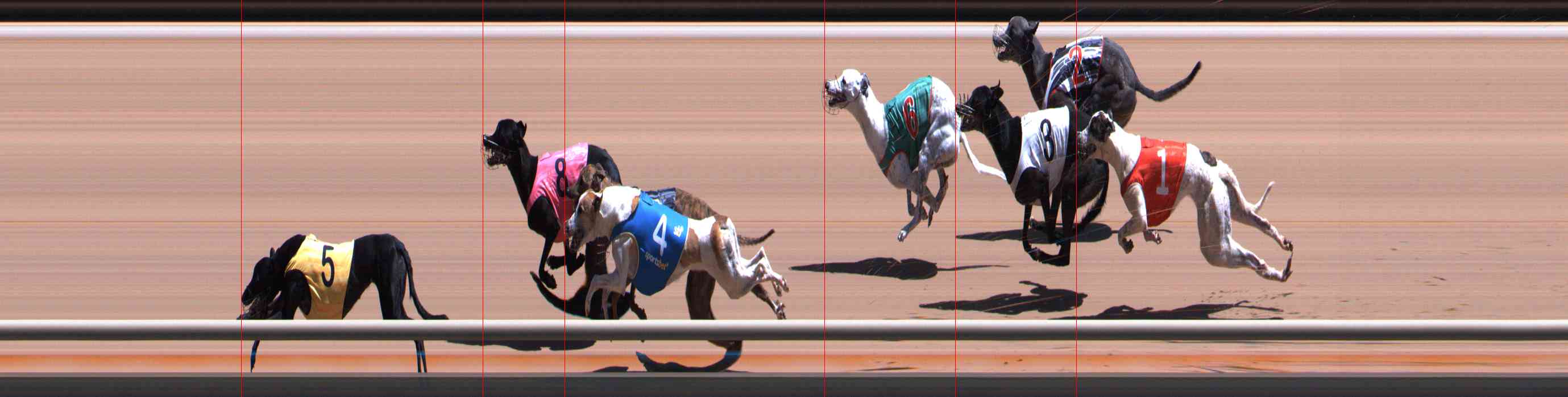 Photo finish for Healesville Race 5