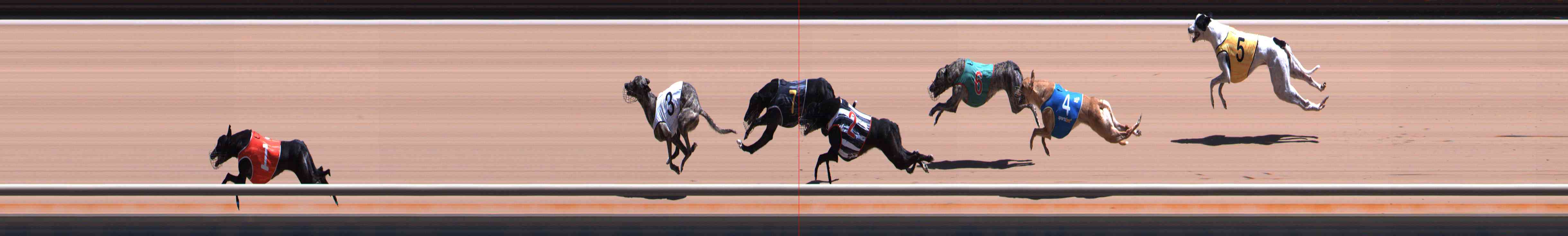 Photo finish for Healesville Race 6