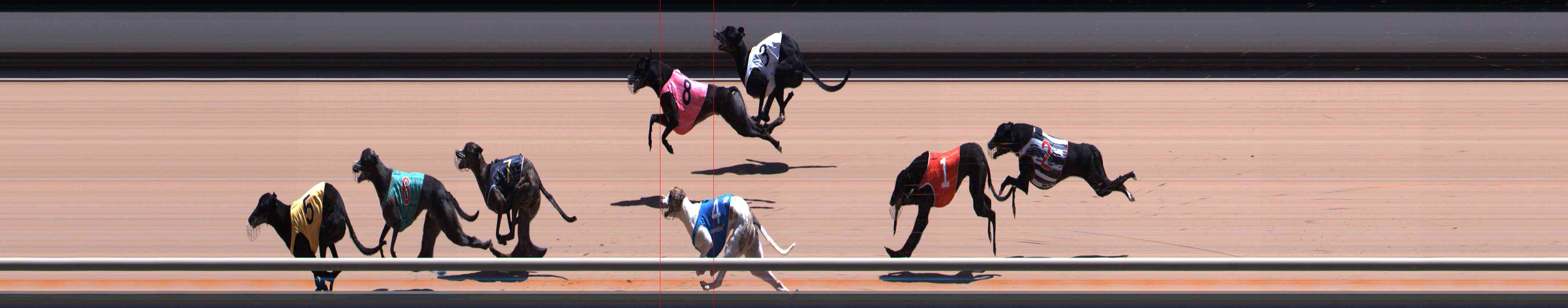Photo finish for Healesville Race 7