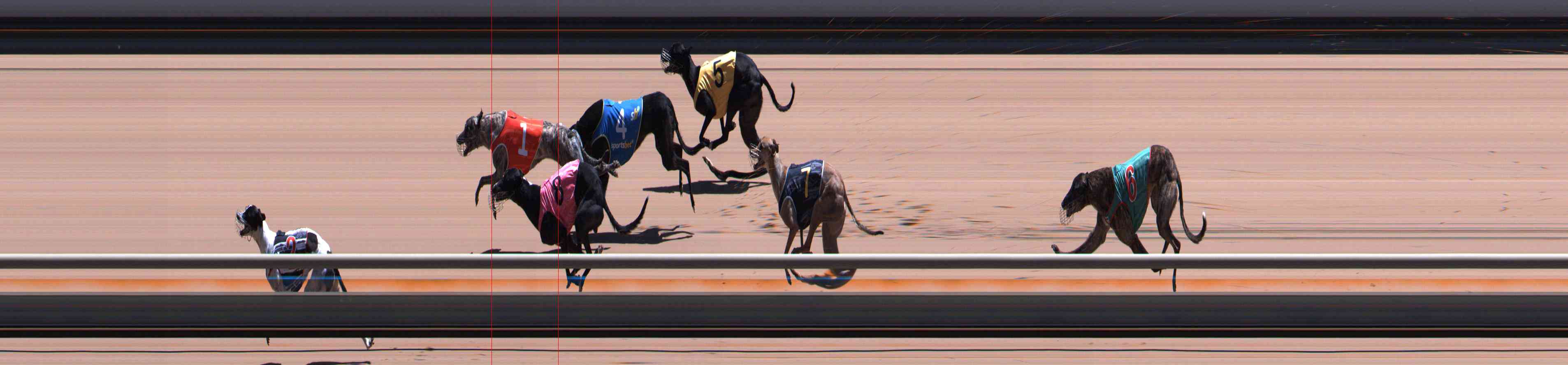 Photo finish for Healesville Race 8