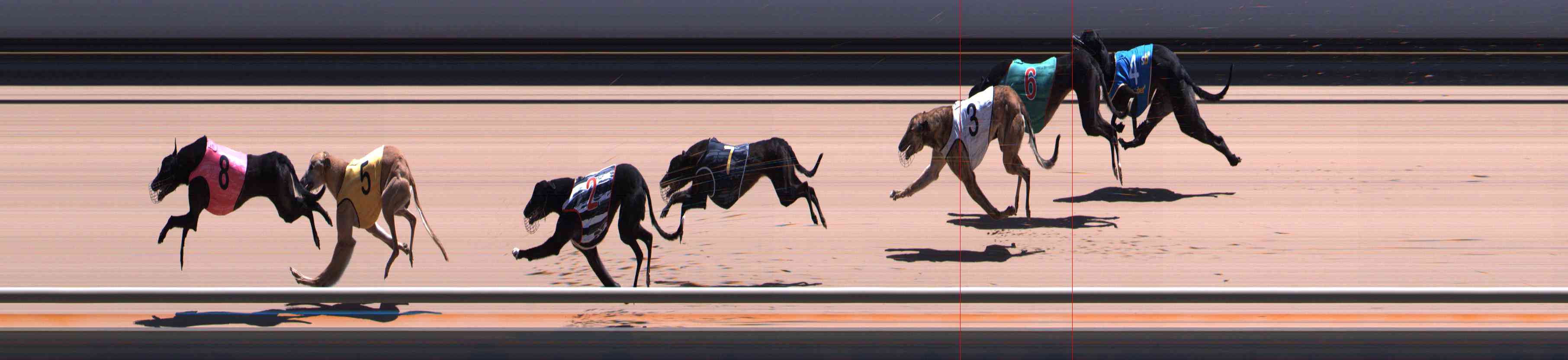 Photo finish for Healesville Race 9