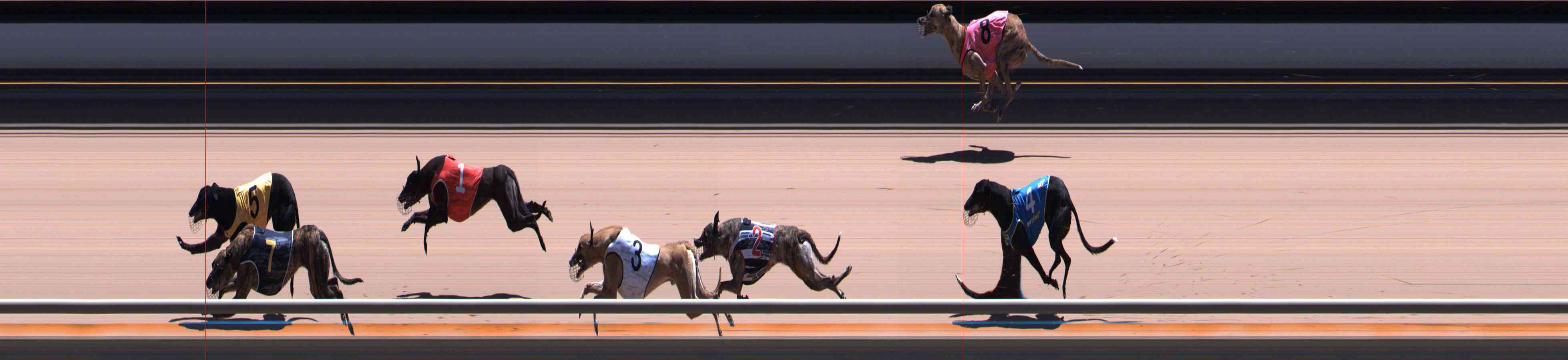 Photo finish for Healesville Race 10