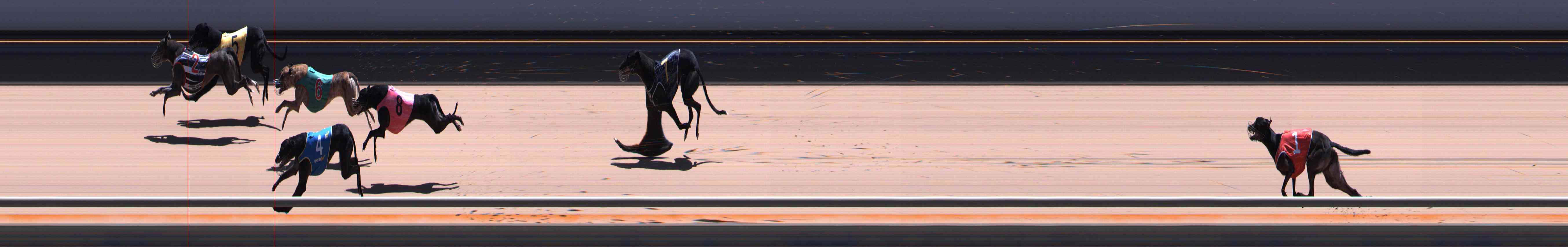 Photo finish for Healesville Race 11