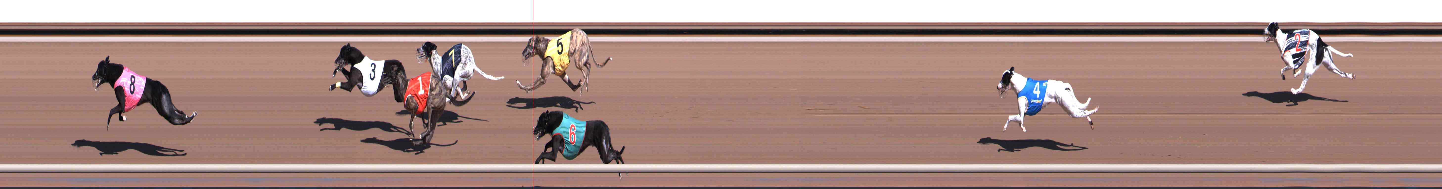 Photo finish for Healesville Race 1