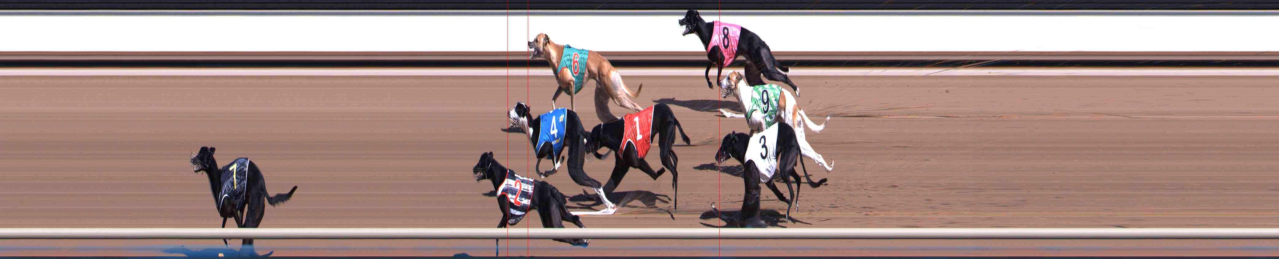 Photo finish for Healesville Race 2