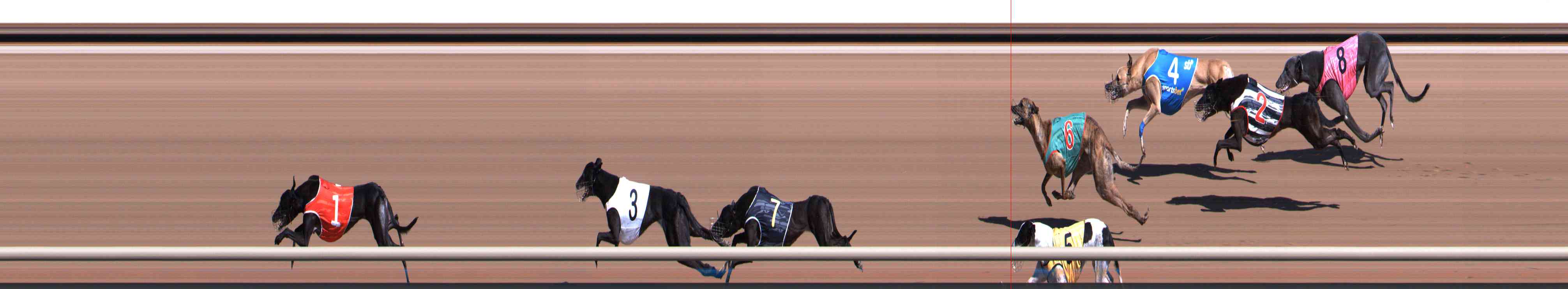 Photo finish for Healesville Race 3