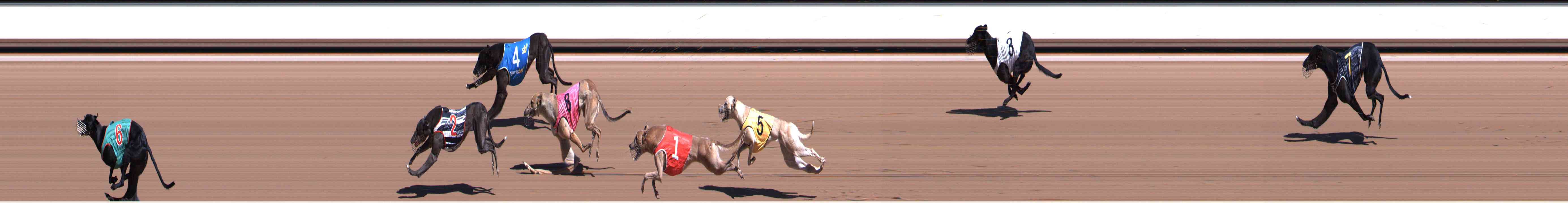 Photo finish for Healesville Race 4