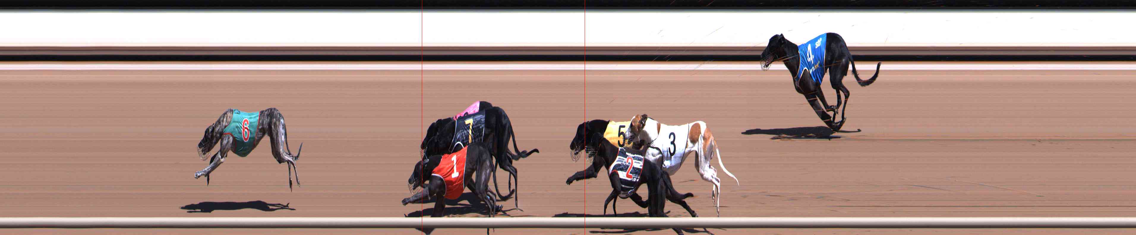 Photo finish for Healesville Race 5