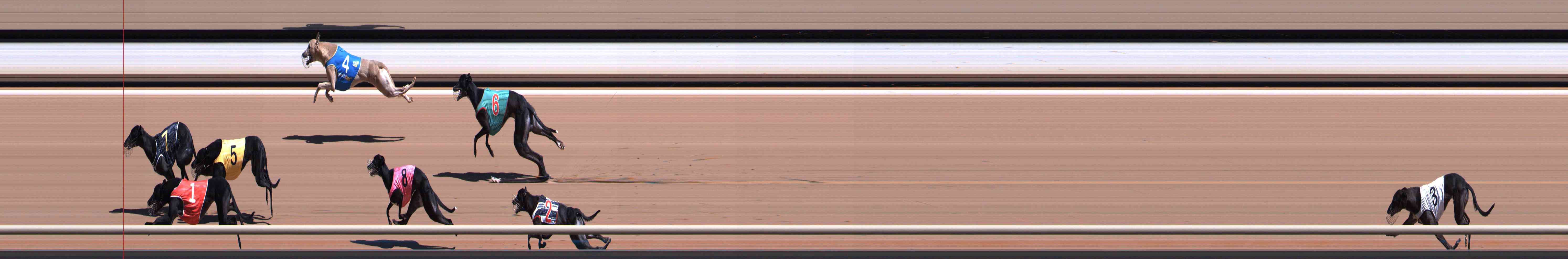 Photo finish for Healesville Race 6