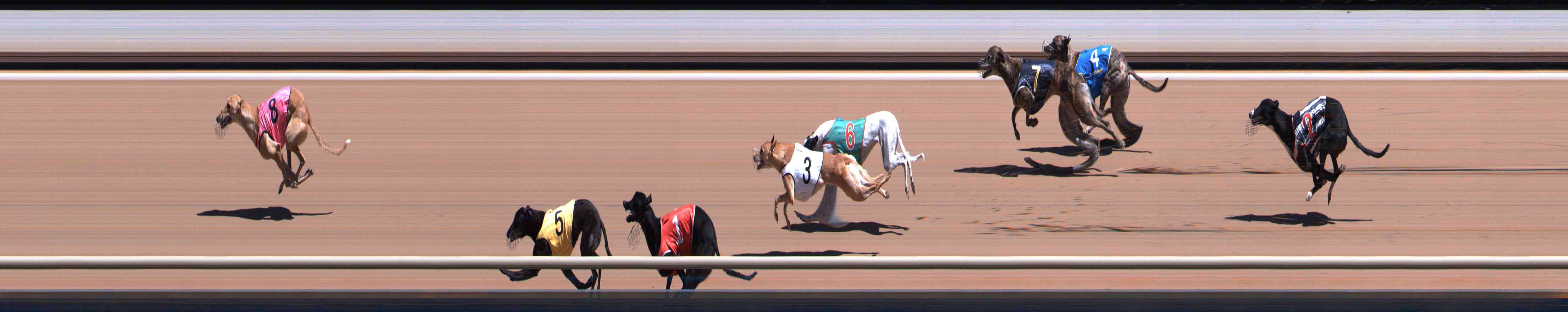 Photo finish for Healesville Race 7