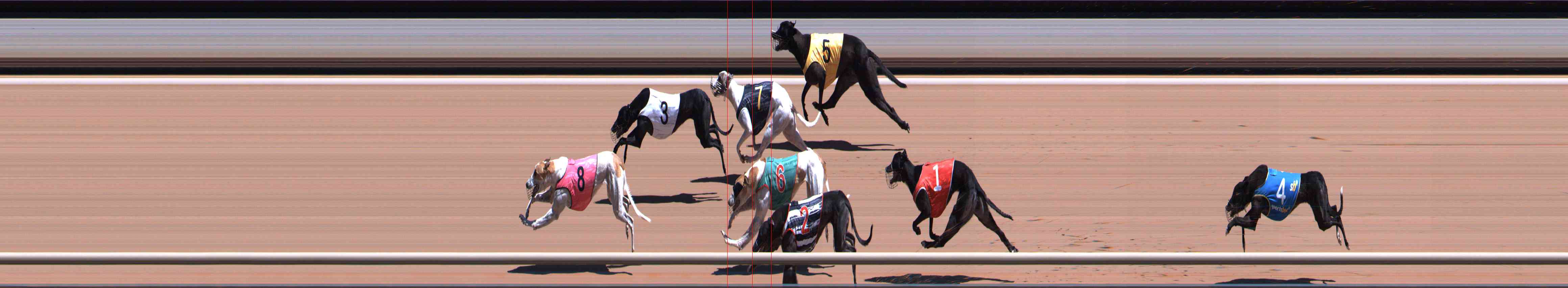 Photo finish for Healesville Race 8