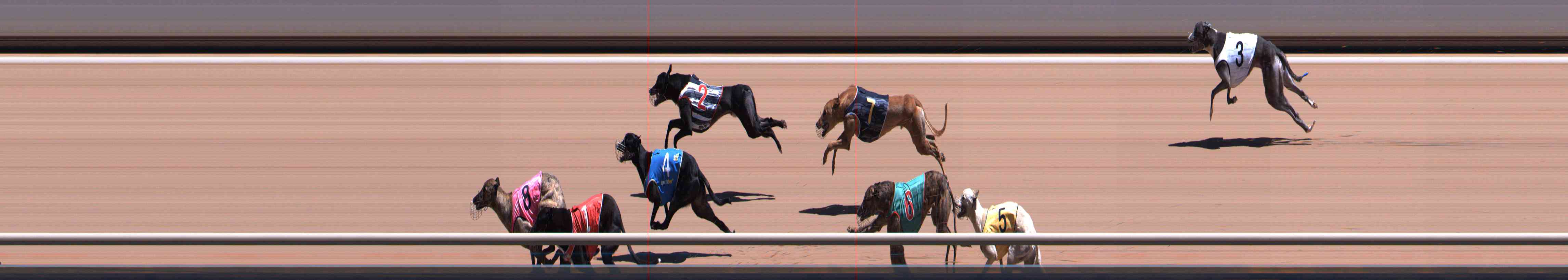 Photo finish for Healesville Race 9