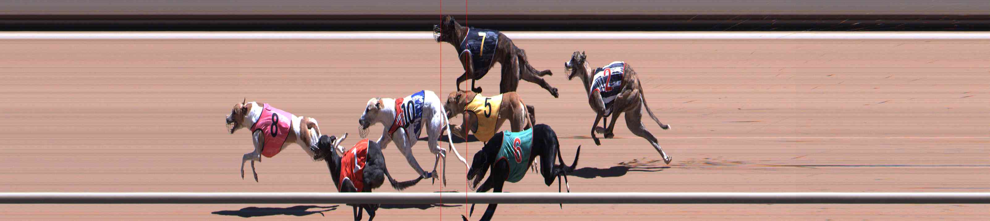 Photo finish for Healesville Race 10