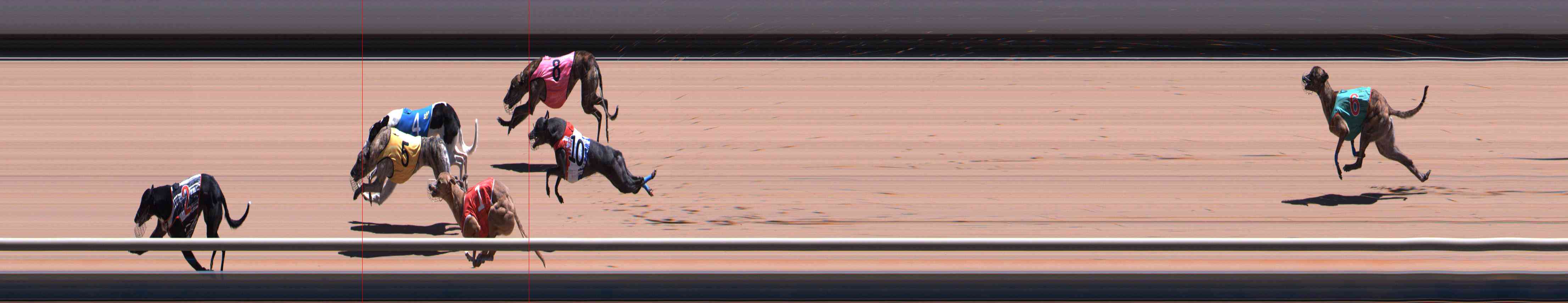 Photo finish for Healesville Race 11