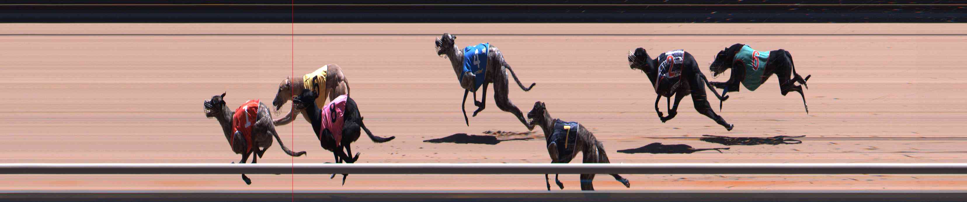 Photo finish for Healesville Race 12