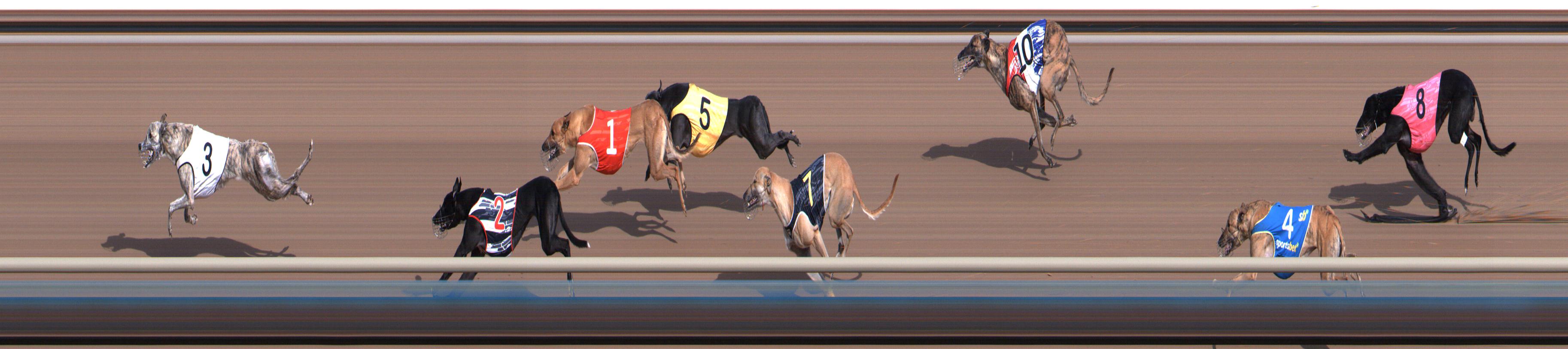 Photo finish for Healesville Race 2