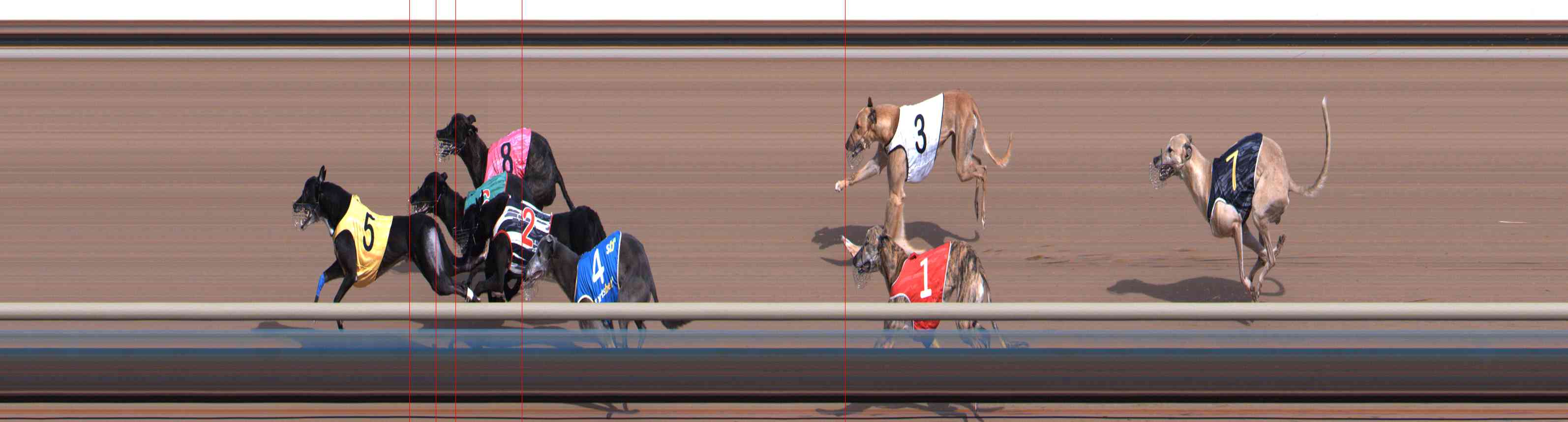 Photo finish for Healesville Race 3