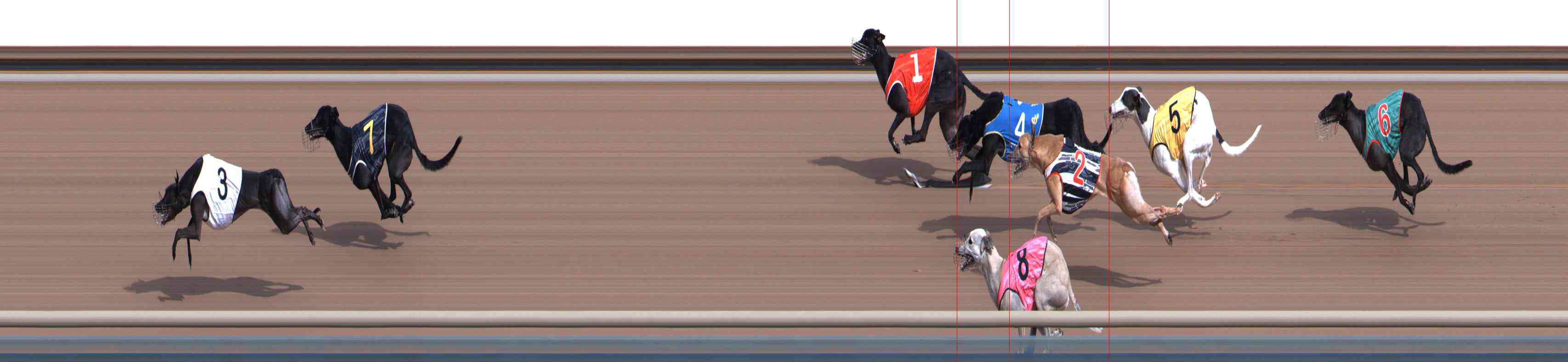 Photo finish for Healesville Race 4