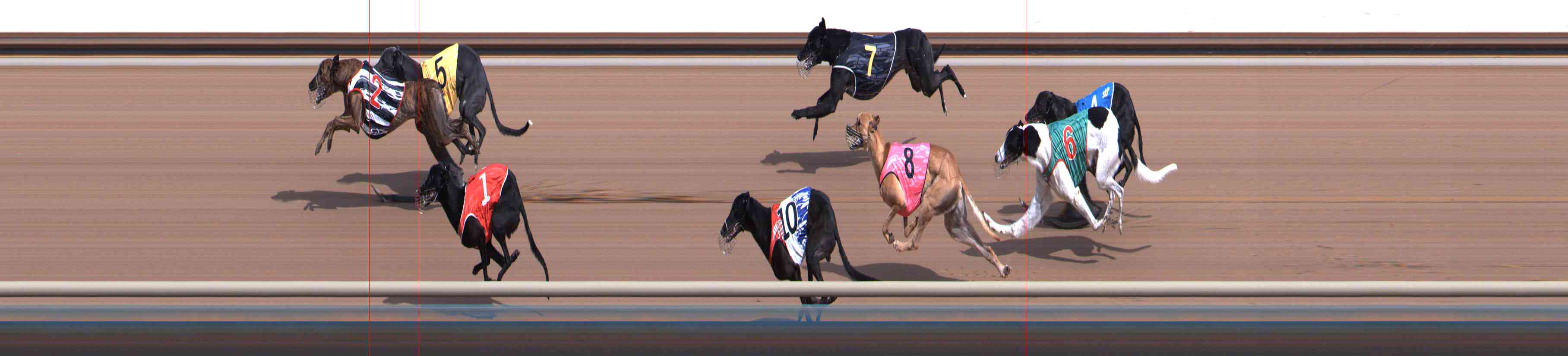 Photo finish for Healesville Race 5