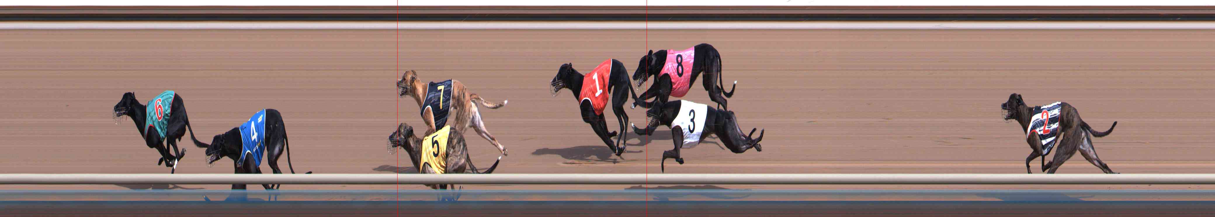 Photo finish for Healesville Race 6