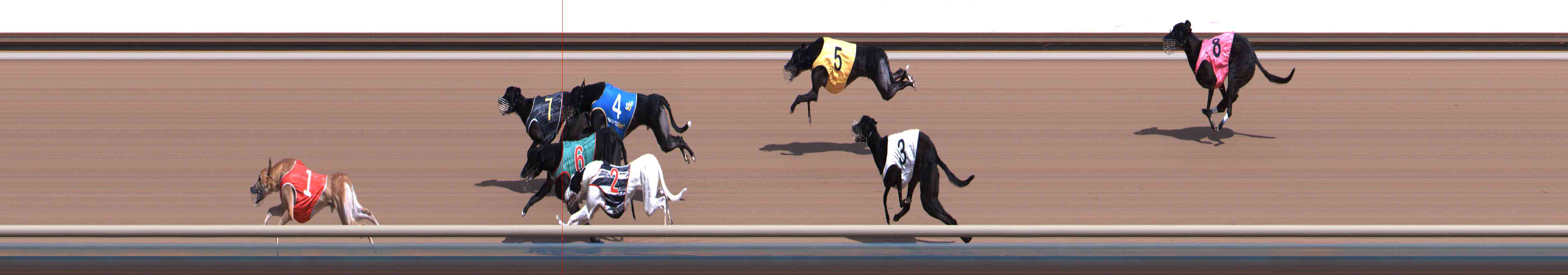 Photo finish for Healesville Race 7