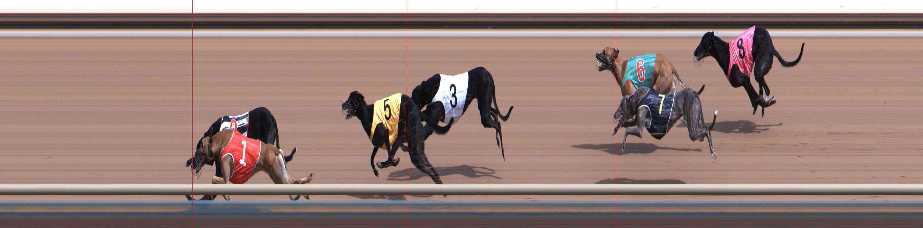 Photo finish for Healesville Race 8