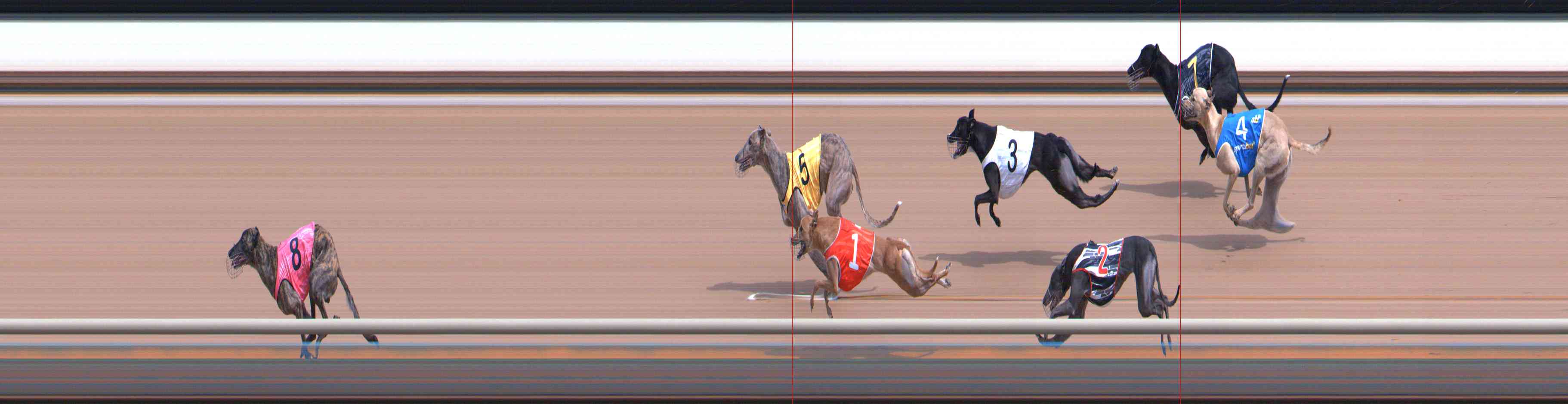 Photo finish for Healesville Race 9