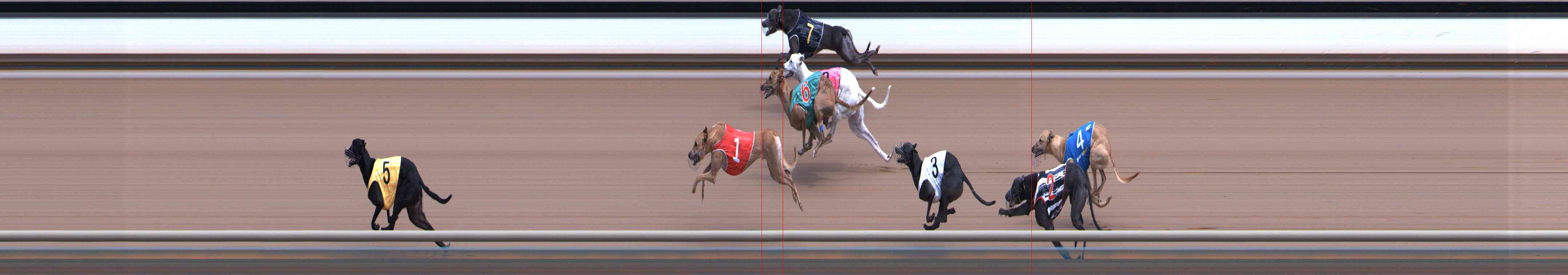 Photo finish for Healesville Race 10