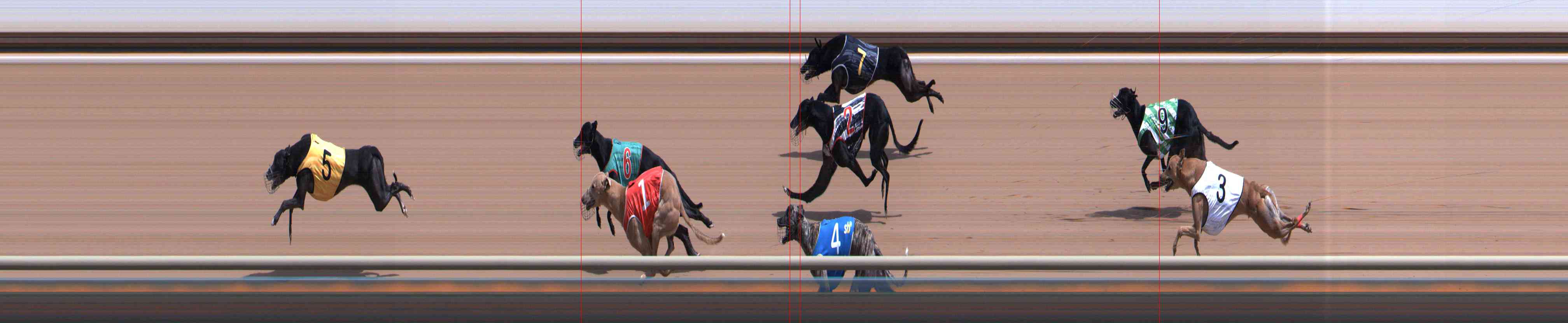 Photo finish for Healesville Race 11