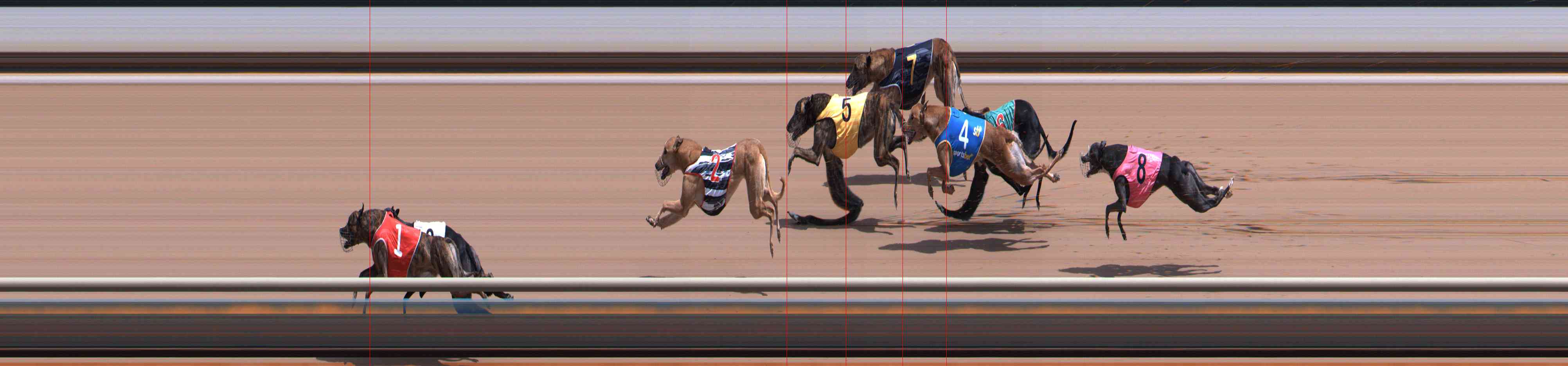 Photo finish for Healesville Race 12