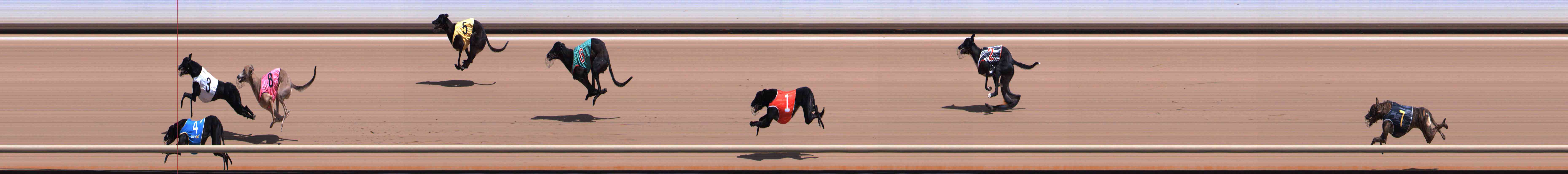 Photo finish for Healesville Race 1